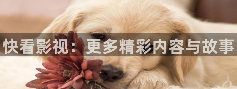 风中的火焰策驰影院免费观看